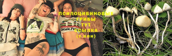 Альфа ПВП Алексеевка