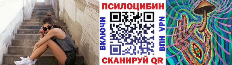 Галлюциногенные грибы Psilocybine cubensis  Краснообск 
