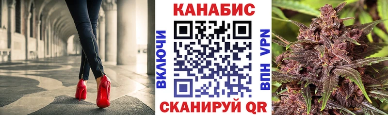 Каннабис OG Kush  где найти   Краснообск 